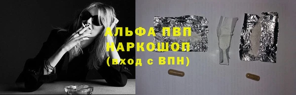 сатива Козельск