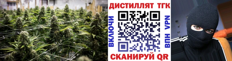 ТГК концентрат  Купить  Болохово 