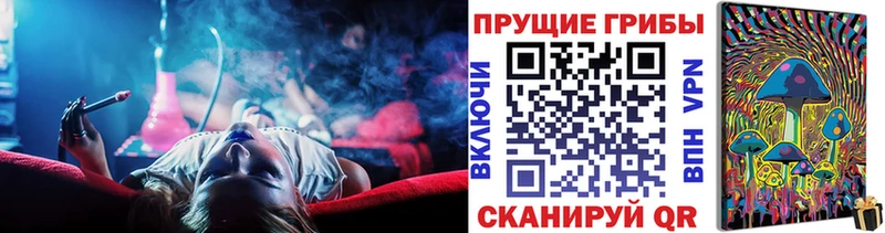 Псилоцибиновые грибы мицелий  Купить где  Болохово 